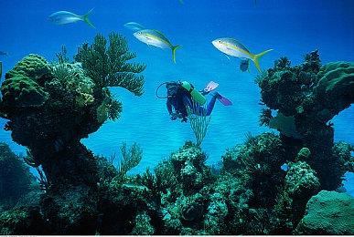 PC版《星之海洋6：神圣力量》悄悄删除D加密